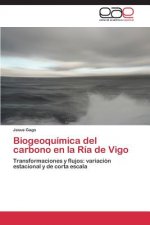 Könyv Biogeoquimica del carbono en la Ria de Vigo Jesus Gago