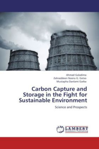 Kniha Carbon Capture and Storage in the Fight for Sustainable Environment Ahmad Galadima
