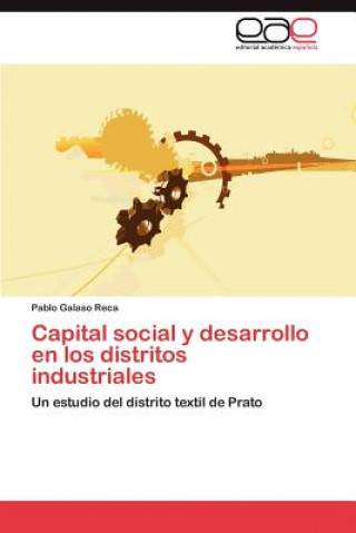 Kniha Capital Social y Desarrollo En Los Distritos Industriales Pablo Galaso Reca