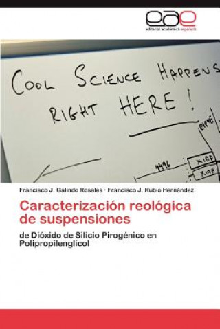 Książka Caracterizacion reologica de suspensiones Francisco J. Galindo Rosales