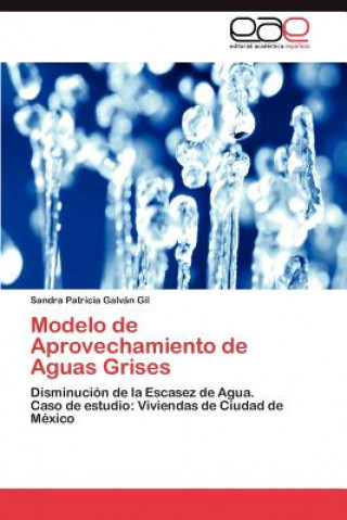 Könyv Modelo de Aprovechamiento de Aguas Grises Sandra Patricia Galván Gil