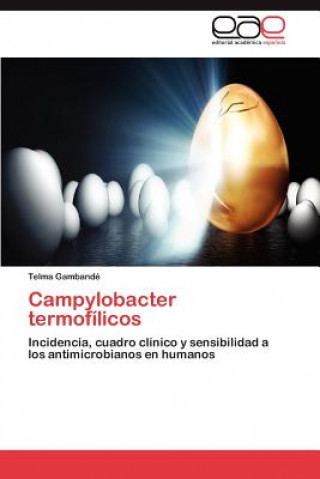 Könyv Campylobacter Termofilicos Telma Gambandé