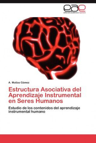 Kniha Estructura Asociativa del Aprendizaje Instrumental En Seres Humanos A. Matías Gámez