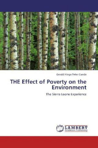 Könyv THE Effect of Poverty on the Environment Gerald Hinga Peter Ganda