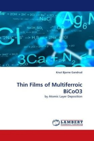 Kniha Thin Films of Multiferroic BiCoO3 Knut Bjarne Gandrud