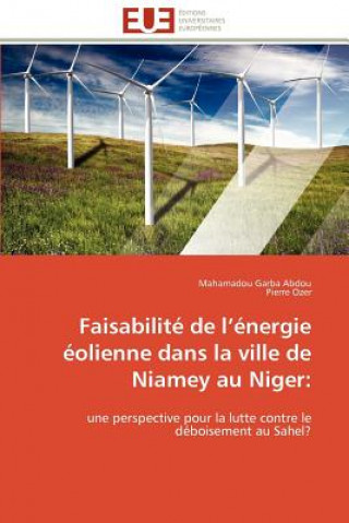 Könyv Faisabilite de l energie eolienne dans la ville de niamey au niger Mahamadou Garba Abdou