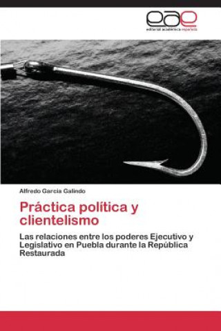 Kniha Practica politica y clientelismo Alfredo García Galindo