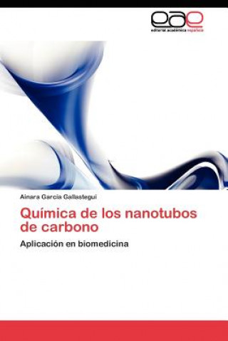 Kniha Quimica de los nanotubos de carbono Ainara García Gallastegui