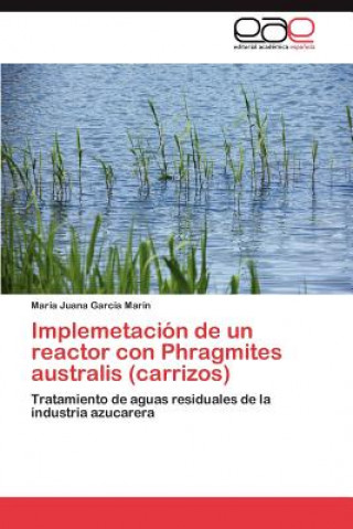 Kniha Implemetacion de un reactor con Phragmites australis (carrizos) María Juana García Marín