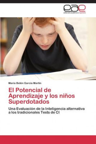 Buch Potencial de Aprendizaje y los ninos Superdotados María Belén García Martín