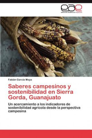 Książka Saberes campesinos y sostenibilidad en Sierra Gorda, Guanajuato Fabián García Moya