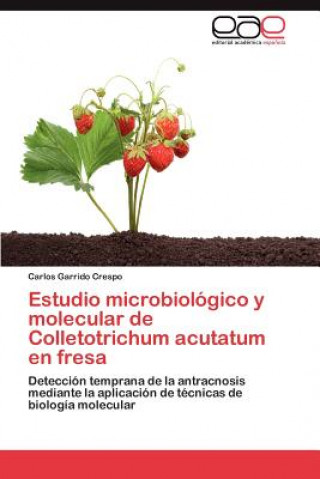 Kniha Estudio Microbiologico y Molecular de Colletotrichum Acutatum En Fresa Carlos Garrido Crespo