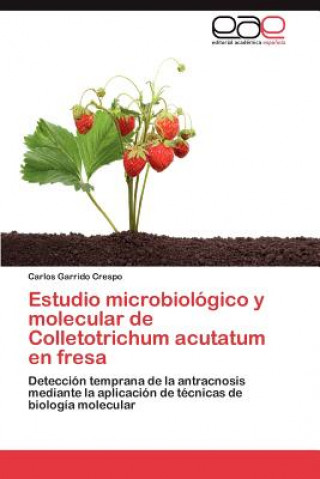 Book Estudio Microbiologico y Molecular de Colletotrichum Acutatum En Fresa Carlos Garrido Crespo