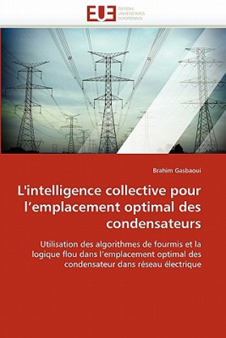 Kniha L''intelligence Collective Pour l''emplacement Optimal Des Condensateurs Brahim Gasbaoui