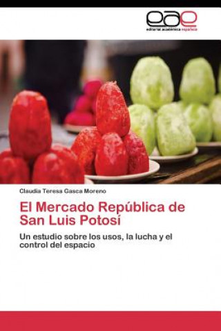 Könyv Mercado Republica de San Luis Potosi Claudia Teresa Gasca Moreno