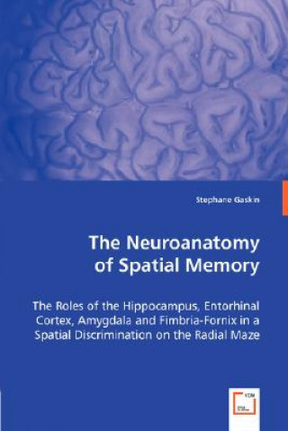 Knjiga Neuroanatomy of Spatial Memory Stephane Gaskin