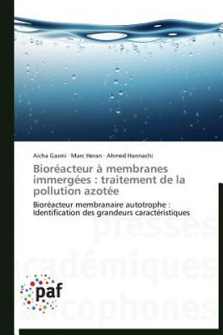 Livre Bioreacteur A Membranes Immergees Aicha Gasmi