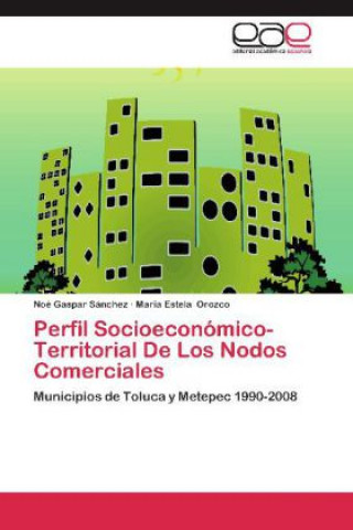 Carte Perfil Socioeconomico-Territorial De Los Nodos Comerciales Noé Gaspar Sánchez