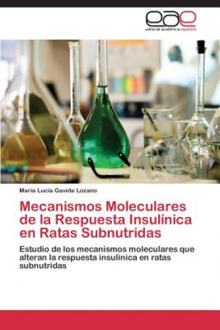 Kniha Mecanismos Moleculares de la Respuesta Insulinica en Ratas Subnutridas Maria L. Gavete Lozano