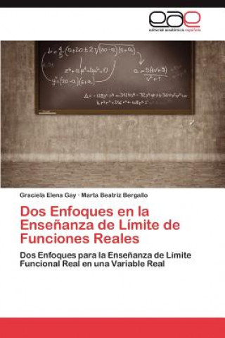 Kniha Dos Enfoques en la Ensenanza de Limite de Funciones Reales Graciela Elena Gay