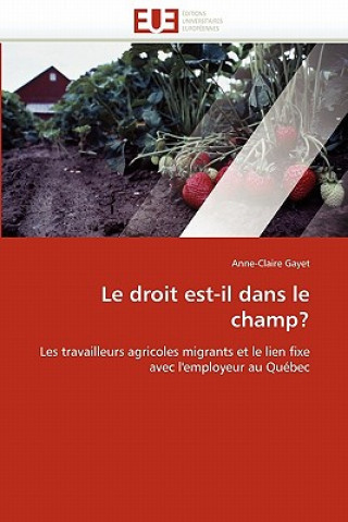 Kniha Droit Est-Il Dans Le Champ? Anne-Claire Gayet