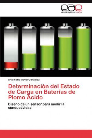 Kniha Determinacion del Estado de Carga En Baterias de Plomo Acido Ana María Gayol González