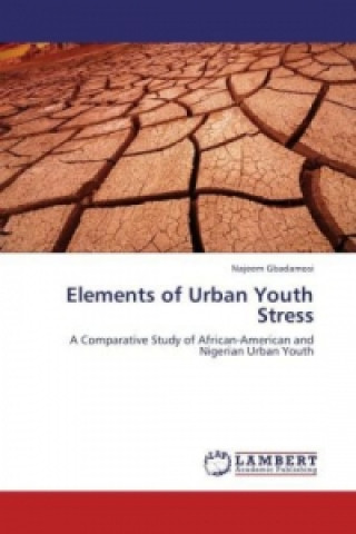 Book Elements of Urban Youth Stress Najeem Gbadamosi