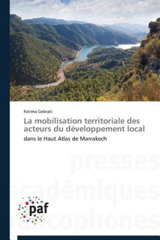 Kniha La Mobilisation Territoriale Des Acteurs Du Developpement Local Fatima Gebrati