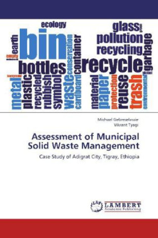 Könyv Assessment of Municipal Solid Waste Management Michael Gebreselassie
