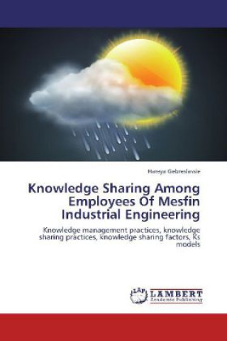 Knjiga Knowledge Sharing Among Employees Of Mesfin Industrial Engineering Hareya Gebreslassie