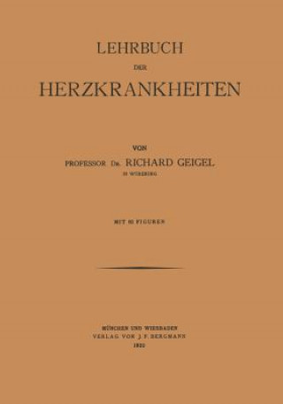 Kniha Lehrbuch Der Herzkrankheiten Richard Geigel