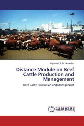 Kniha Distance Module on Beef Cattle Production and Management Alganesh Tola Gemechu