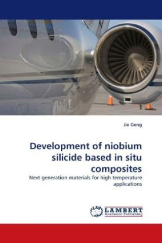 Carte Development of niobium silicide based in situ composites Jie Geng