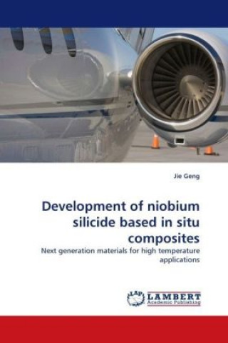 Книга Development of niobium silicide based in situ composites Jie Geng