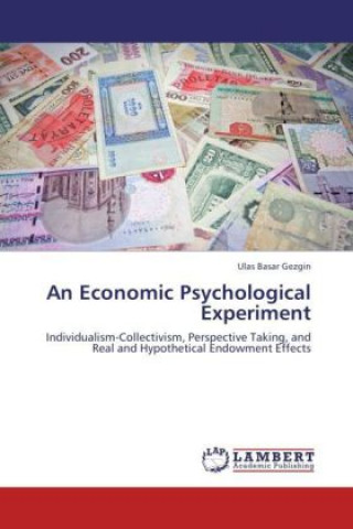 Książka An Economic Psychological Experiment Ulas Basar Gezgin