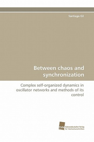 Libro Between chaos and synchronization Santiago Gil