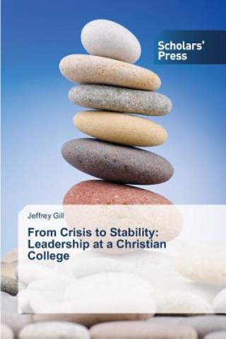 Kniha From Crisis to Stability Jeffrey Gill