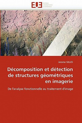Carte Decomposition et detection de structures geometriques en imagerie Jerome Gilles