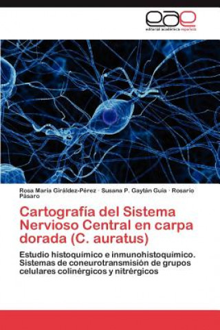 Carte Cartografia del Sistema Nervioso Central En Carpa Dorada (C. Auratus) Rosa María Giráldez-Pérez