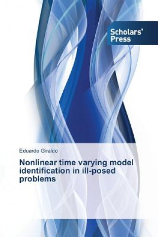 Carte Nonlinear time varying model identification in ill-posed problems Eduardo Giraldo