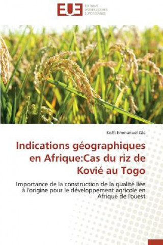 Könyv Indications geographiques en afrique Koffi Emmanuel Gle