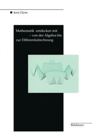Kniha Mathematik Entdecken Mit DERIVE - Von Der Algebra Bis Zur Differentialrechnung Jerry Glynn
