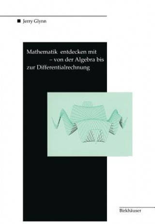 Könyv Mathematik Entdecken Mit DERIVE - Von Der Algebra Bis Zur Differentialrechnung Jerry Glynn