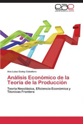 Kniha Analisis Economico de la Teoria de la Produccion Ana Luisa Godoy Caballero