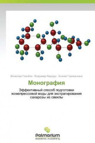 Könyv Monografiya Vyacheslav Golybin