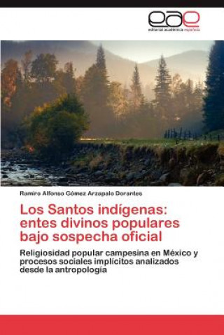 Knjiga Santos indigenas Ramiro Alfonso Gómez Arzapalo Dorantes