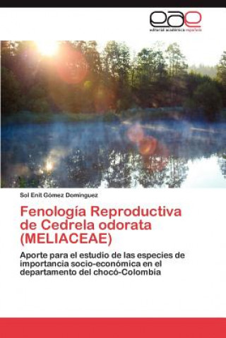 Könyv Fenologia Reproductiva de Cedrela Odorata (Meliaceae) Sol Enit Gómez Domínguez
