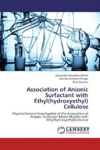 Kniha Association of Anionic Surfactant with Ethyl(hydroxyethyl) Cellulose Alexandre Gonçalves Dal-Bo