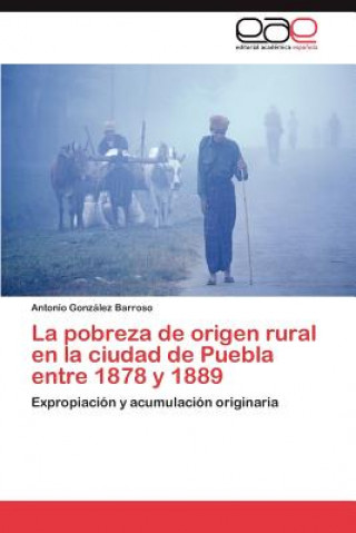 Knjiga Pobreza de Origen Rural En La Ciudad de Puebla Entre 1878 y 1889 Antonio González Barroso