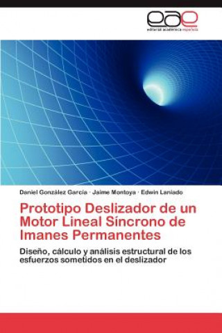 Kniha Prototipo Deslizador de un Motor Lineal Sincrono de Imanes Permanentes Daniel González García